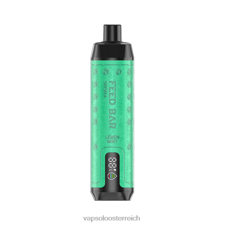 Vapsolo Geschmack - VapSolo SHISHA Einweg-Vapor Zitronenminze 40PL27