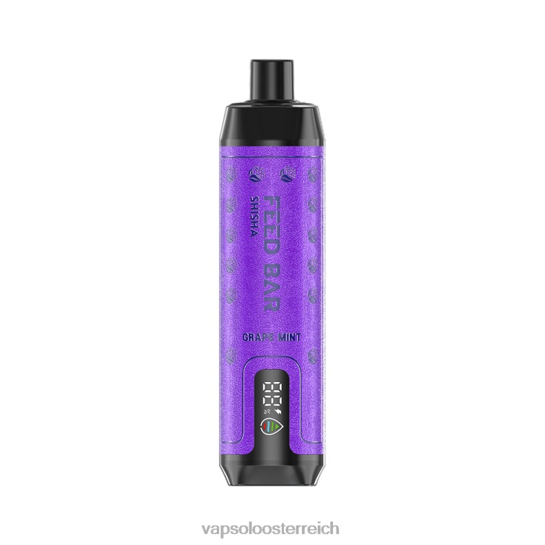 Vapsolo Kaufen - VapSolo SHISHA Einweg-Vapor Traubenminze 40PL26