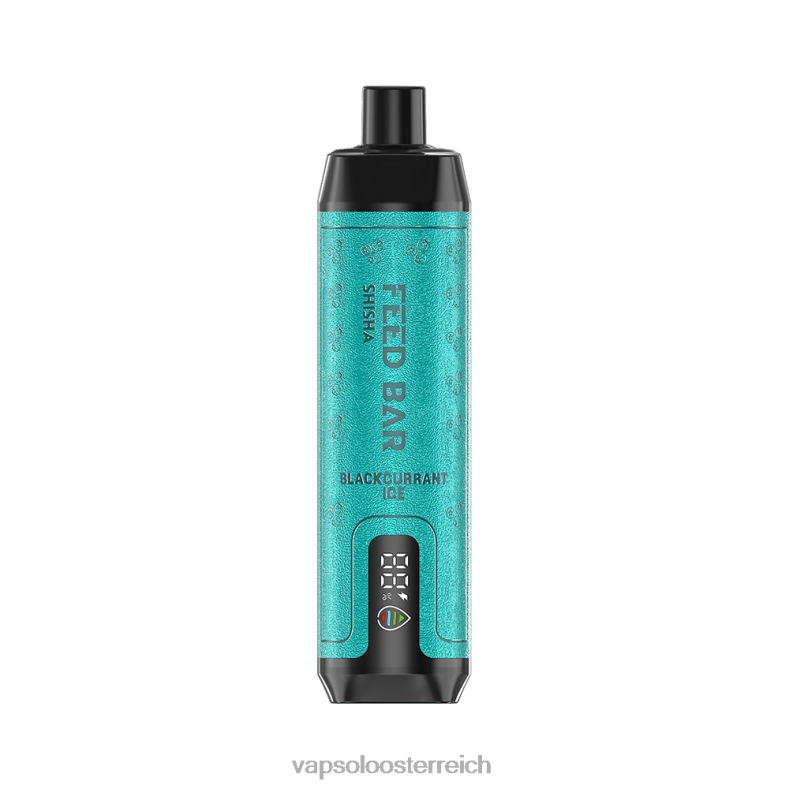 Vapsolo Kaufen - VapSolo SHISHA Einweg-Vapor schwarzes Johannisbeereis 40PL22