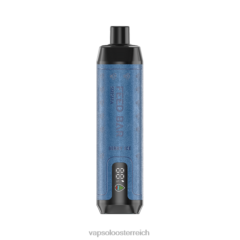 Vapsolo Preis - VapSolo SHISHA Einweg-Vapor Beereneis 40PL21