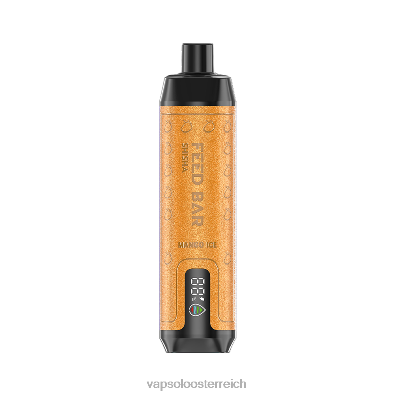 Vapsolo Preis - VapSolo SHISHA Einweg-Vapor Mango-Eis 40PL29