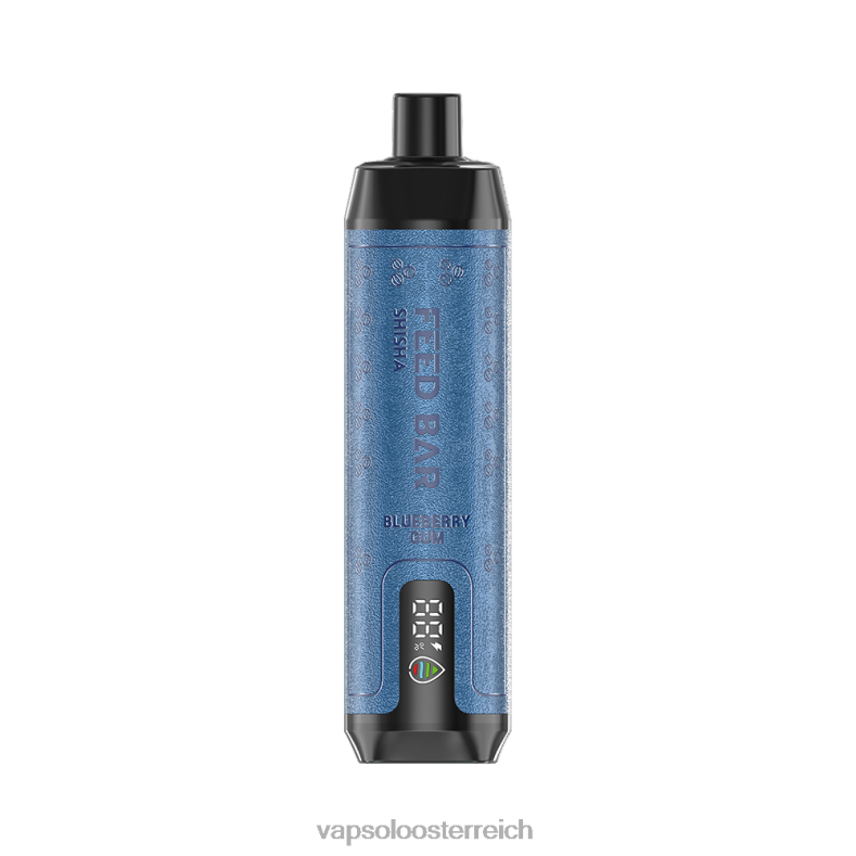 Vapsolo Österreich - VapSolo SHISHA Einweg-Vapor Blaubeergummi 40PL24