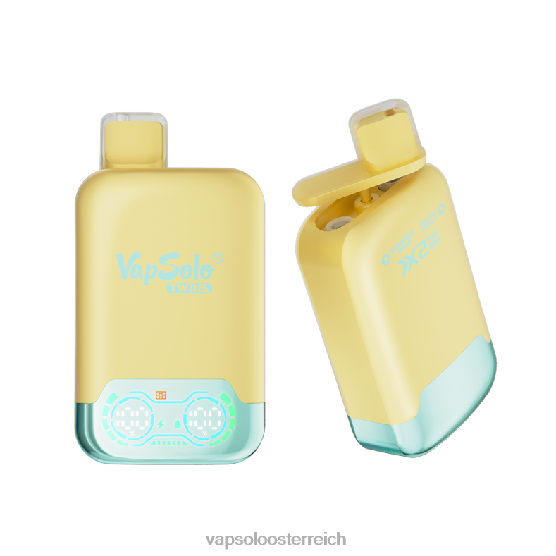 Vapsolo Geschmack - VapSolo TWINS Einweg-Vapor Ananas-Kokosnuss und Erdbeer-Banane 40PL231