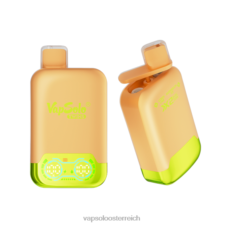 Vapsolo Preis - VapSolo TWINS Einweg-Vapor Zitronen-Limetten- und Wassermeloneneis 40PL229